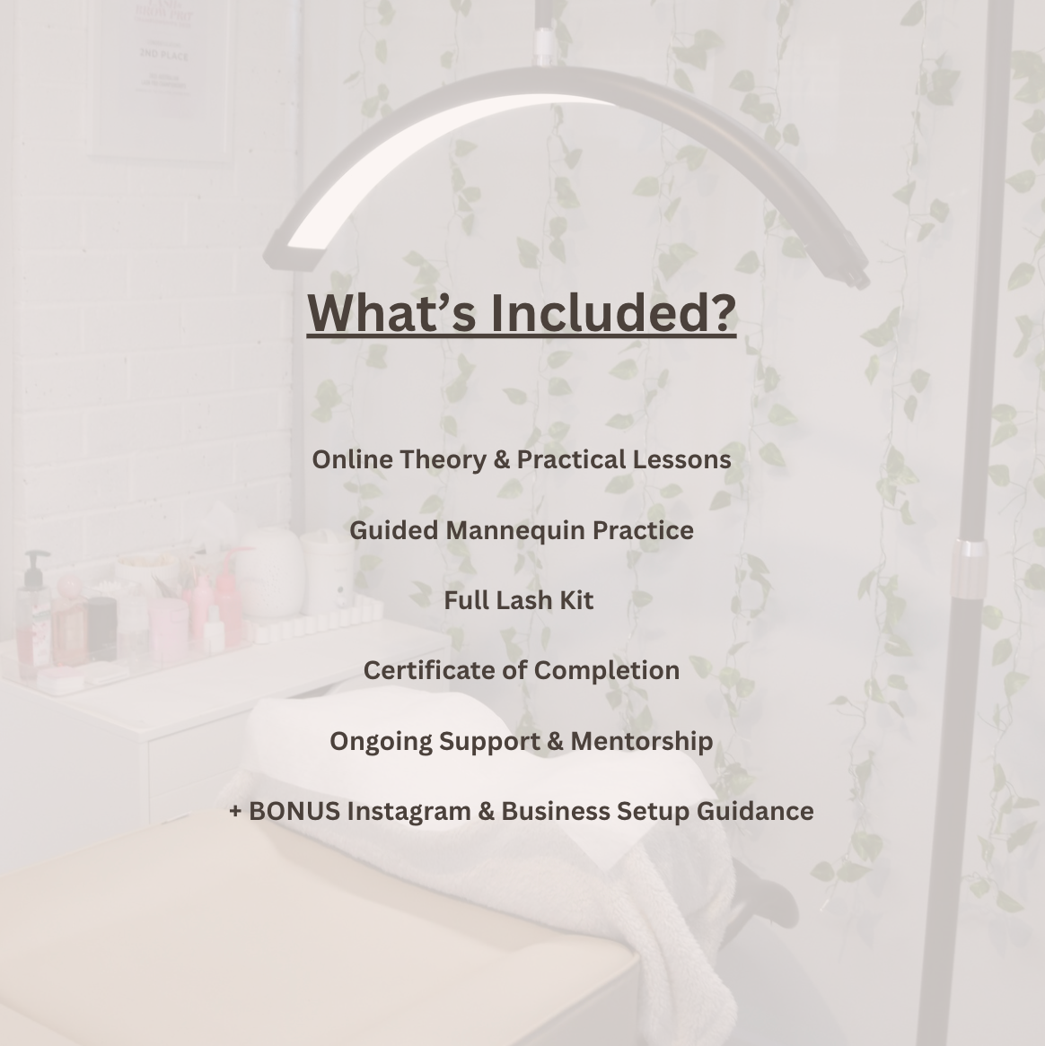 Complete Online Lash Artistry Course